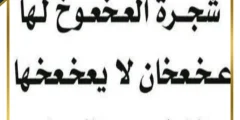 ما هي شجرة العخعوخ , معلومات عن شجرة العخعوخ