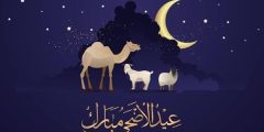 ما هو الحيوان الذي يختفي في عيد الأضحى؟