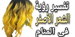 تفسير حلم الشعر الأصفر المصبوغ للنساء غير المتزوجات والمطلقات