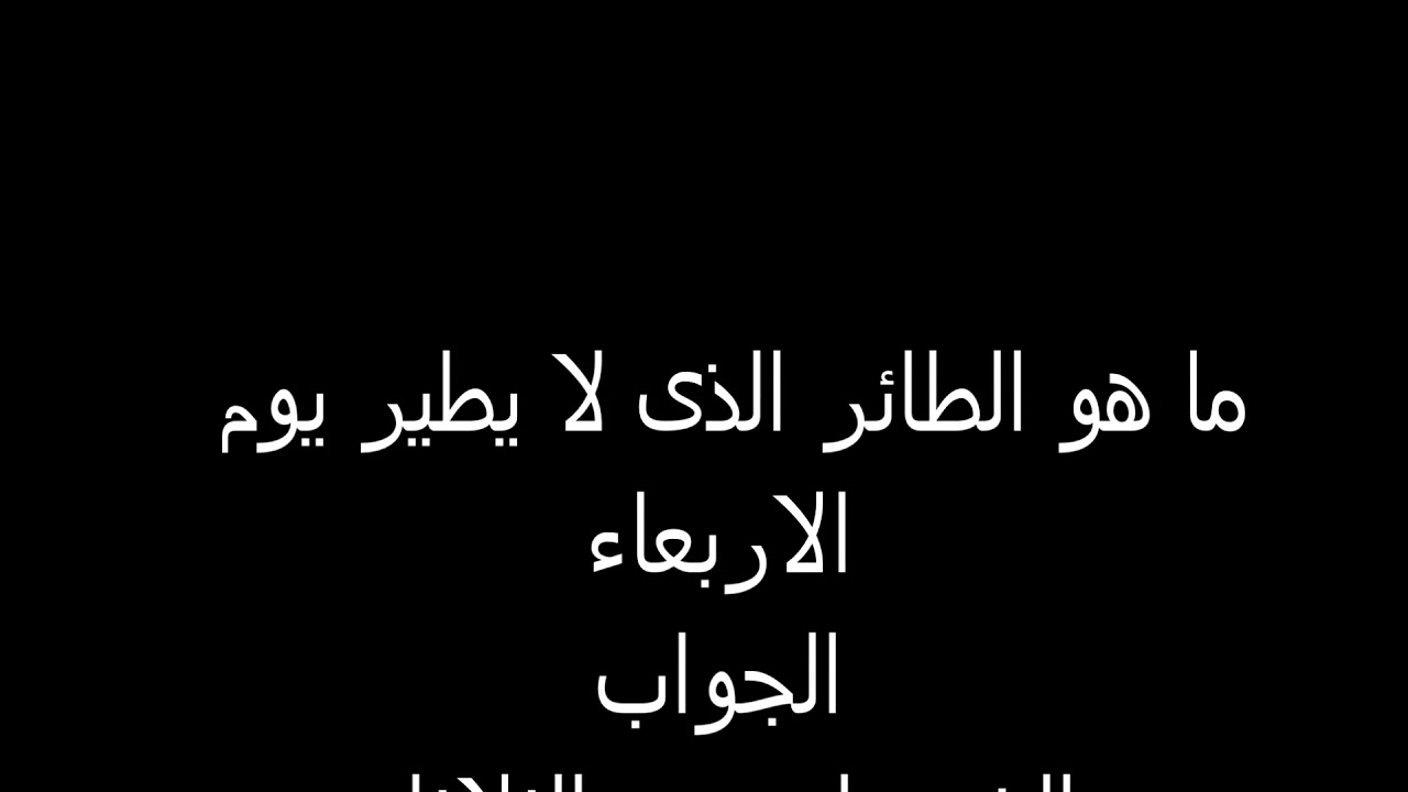 ما هو الطائر الذي لا يطير يوم الجمعة؟  – الرياض نيوز