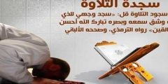 هل السجود واجب في القرآن؟  – الرياض نيوز