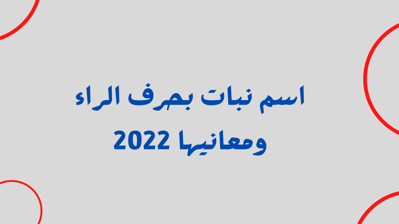 اسم نبات يبدأ بحرف الراء – موقع