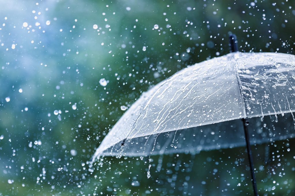 إنه عن المطر – الالرياض نيوز